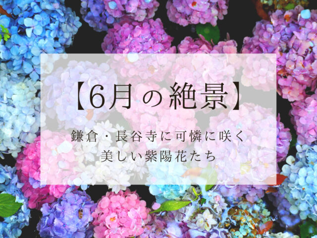 鎌倉 長谷寺 可憐に咲き誇る6月の絶景 紫陽花 が見逃せない Smile Travel Be Happy