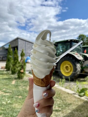 美瑛放牧酪農場のソフトクリーム