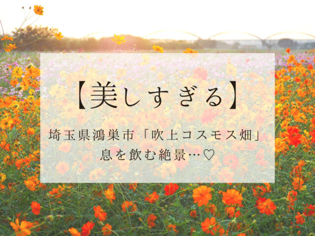 息を飲む絶景 埼玉県鴻巣市の 吹上コスモス畑 が美しすぎる Smile Travel Be Happy