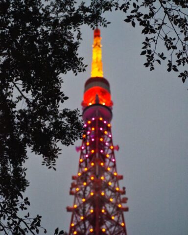 ライトアップした東京タワー