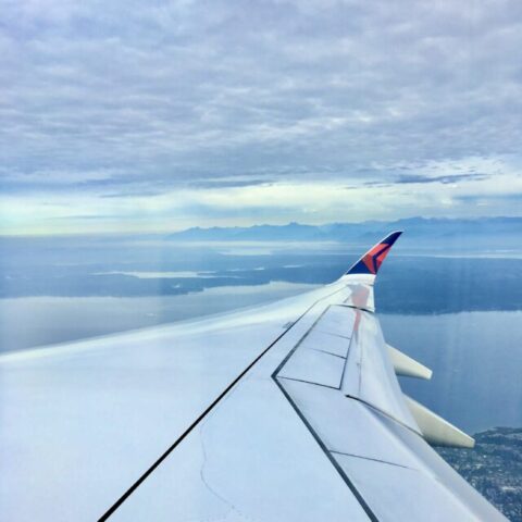 アメリカへの飛行機の窓からの景色